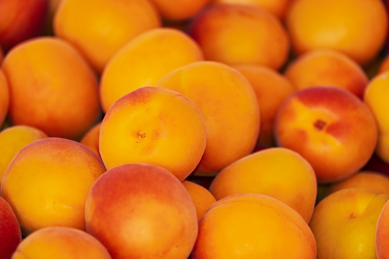 Rustlings (August 26, 2019)