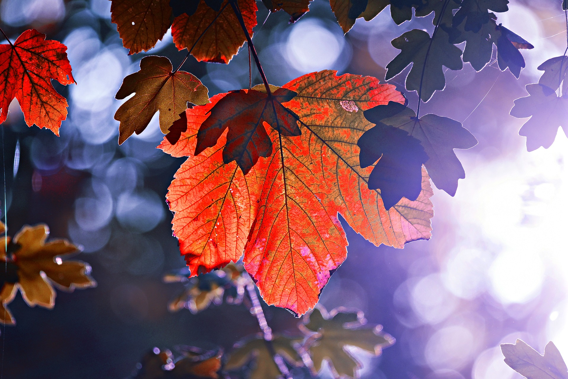 Rustlings (October 7, 2019)